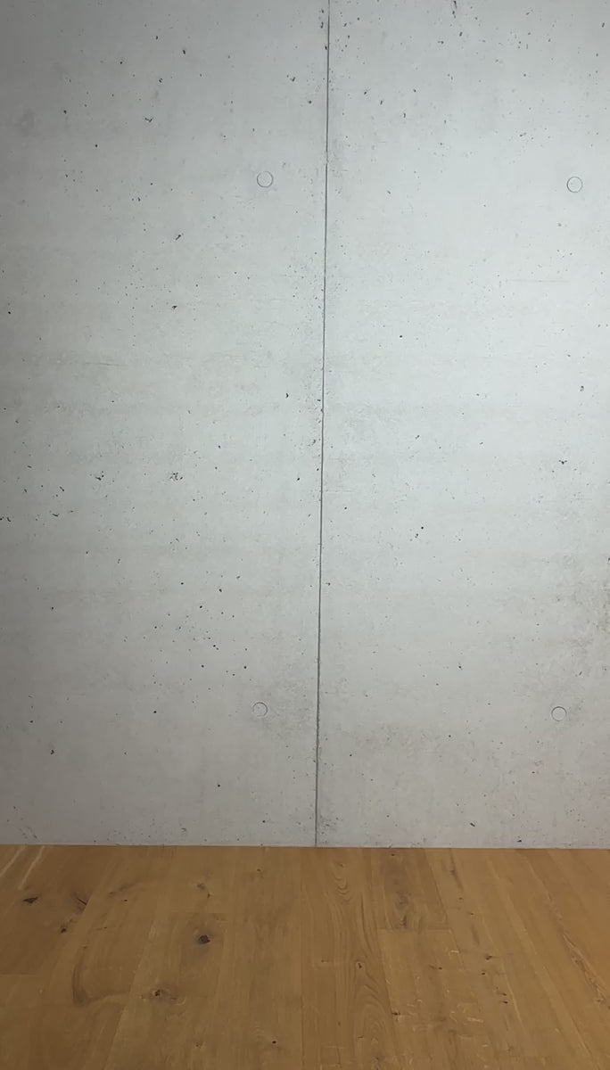 Silhouette 11