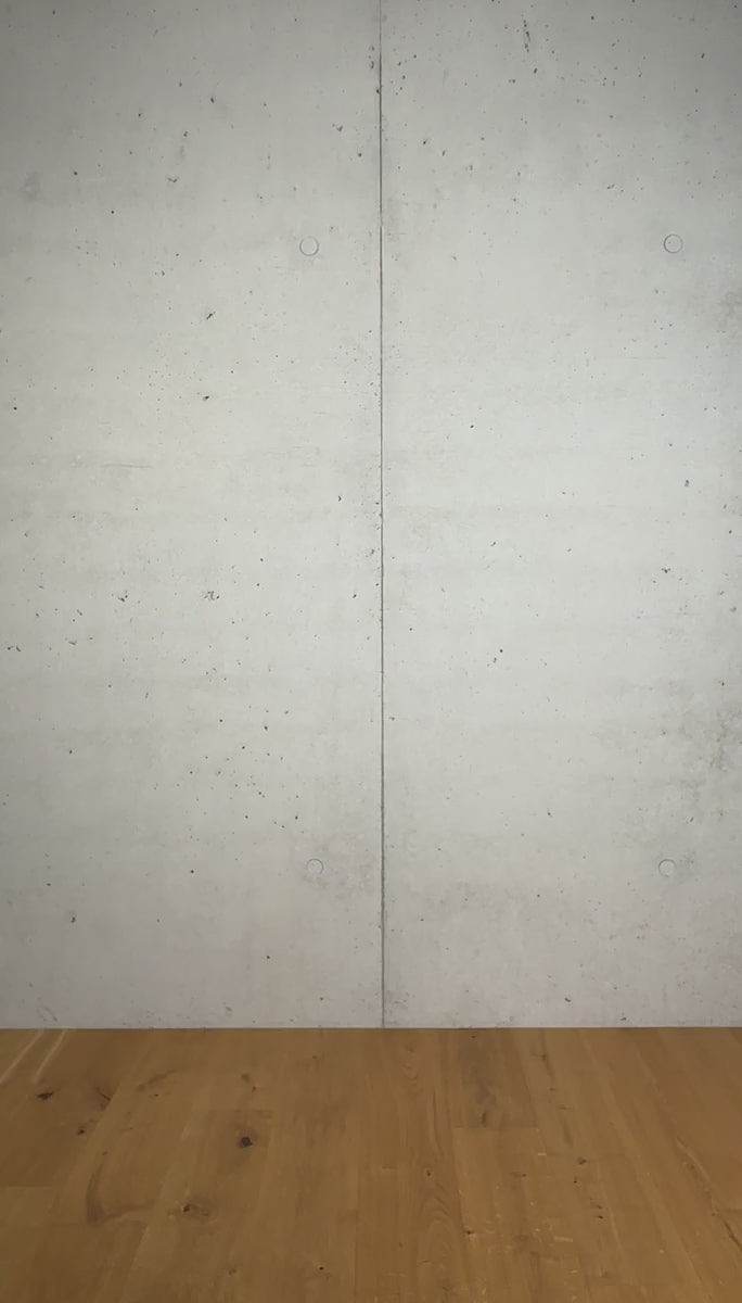 Silhouette 2