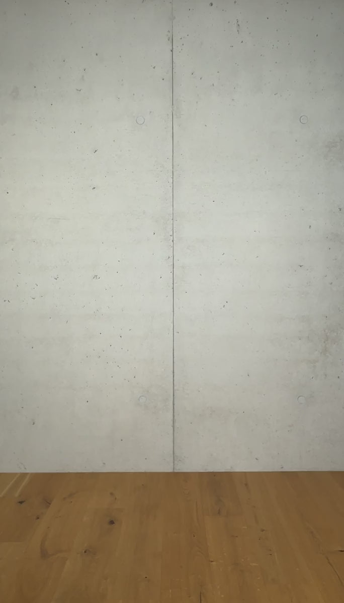 Silhouette 12