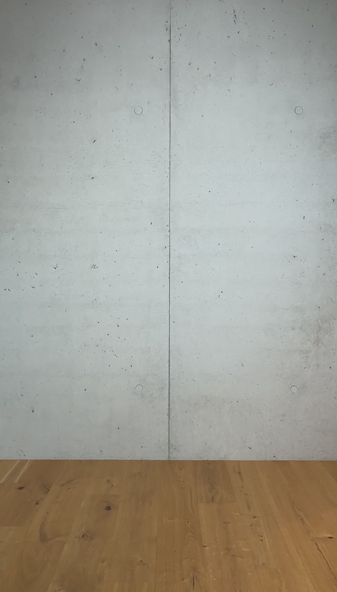 Silhouette 10